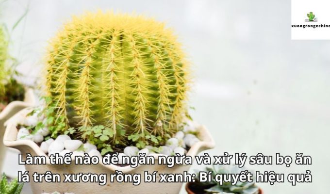 Làm thế nào để ngăn ngừa và xử lý sâu bọ ăn lá trên xương rồng bí xanh: Bí quyết hiệu quả