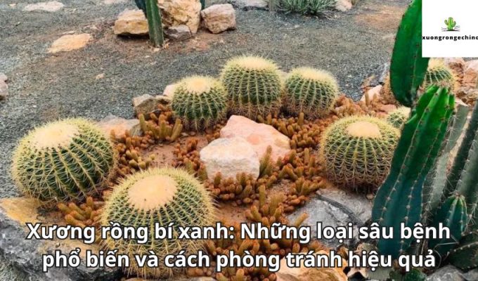 Xương rồng bí xanh: Những loại sâu bệnh phổ biến và cách phòng tránh hiệu quả